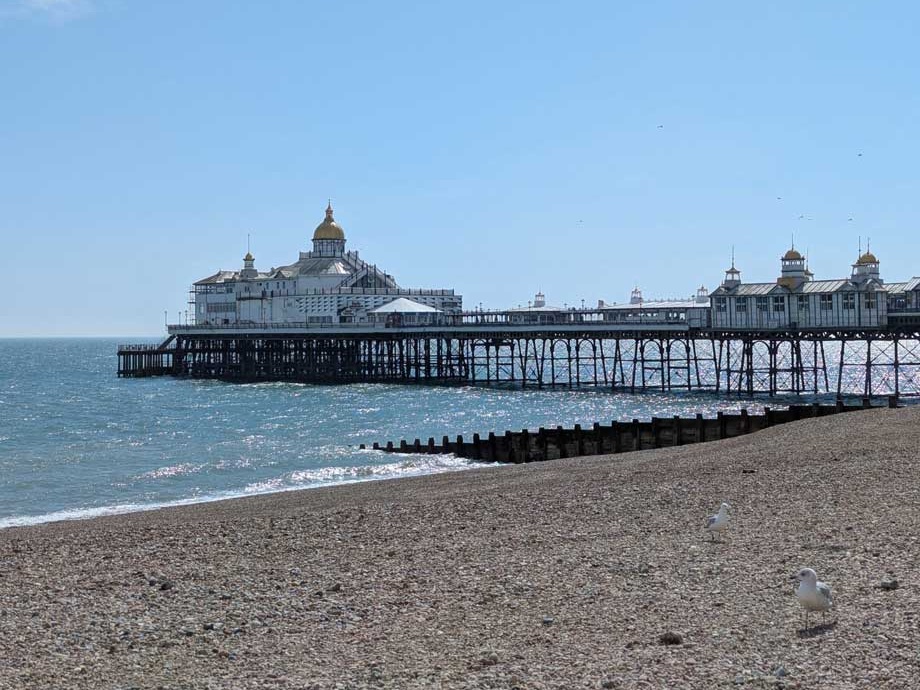 Eastbourne Pier from the shingle beach on a sunny day, with gulls in the foreground